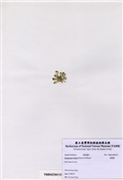 藏品(香蕉菜)的圖片